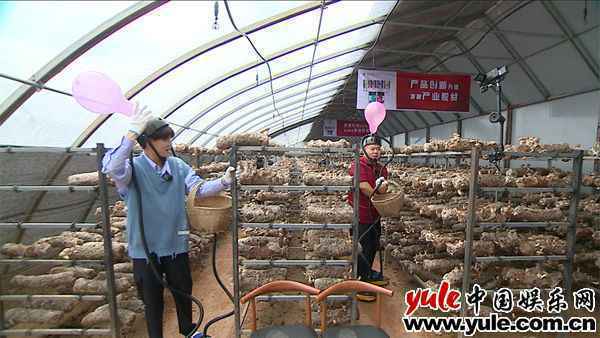 《极限挑战宝藏行》走进甘肃临夏,虞书欣夜市摆摊