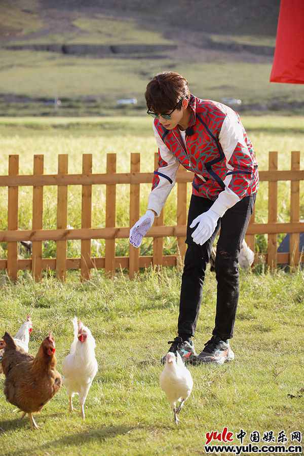 《极限挑战宝藏行》开启登山特训 高原藏香鸡“征服”极挑团