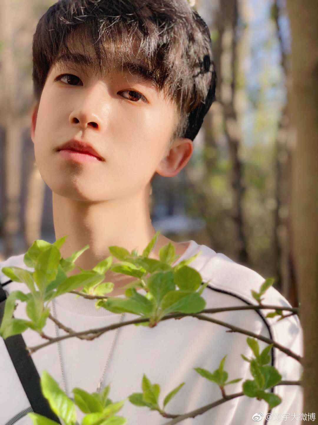 《青3》选手名单疑释出!颜值一言难尽,这五位热门选手呼声最高!