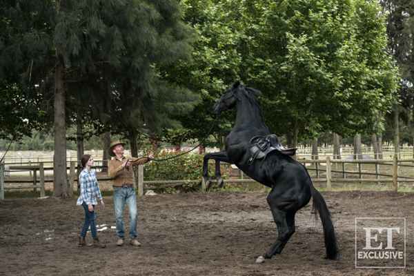 迪士尼新片《黑骏马》曝正式海报 麦肯芝弗依主演温斯莱特为马配音