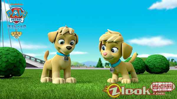 双胞胎狗狗艾拉和塔可在草地上玩耍 《汪汪队立大功之超能救援》今日上映 勇敢狗狗出动拯救冒险湾