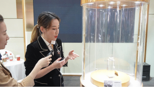 进博会千万级带货明星裙子姐姐 堪称珠宝直播的女版李佳琦