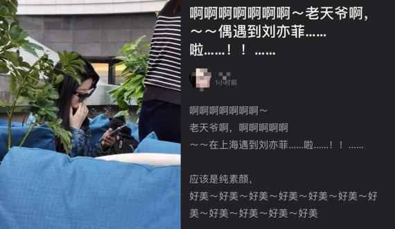 网友偶遇刘亦菲