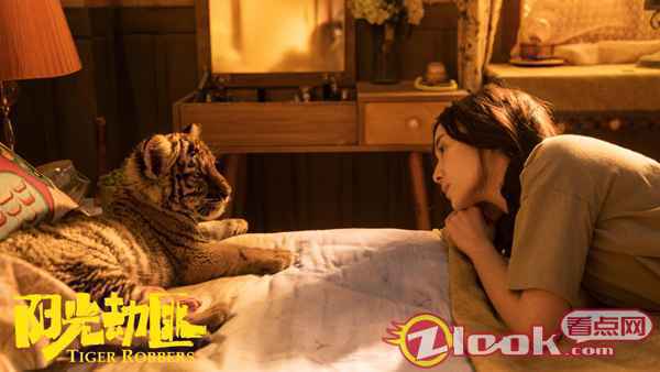 宋佳《阳光劫匪》定档12月31日 搭档马丽开启奇幻“寻虎”之旅