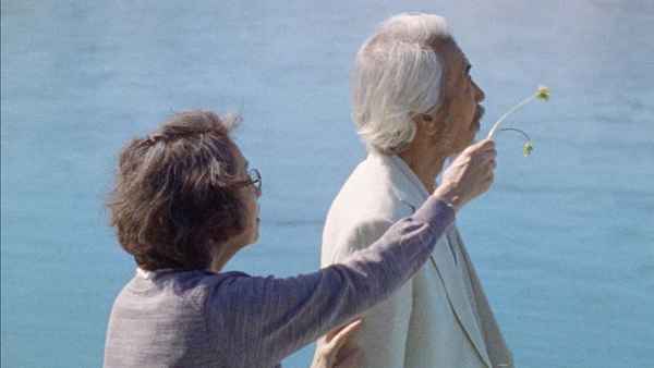 米津玄师与「カナリヤ」（金丝雀）MV导演：是枝裕和对谈影像公开！