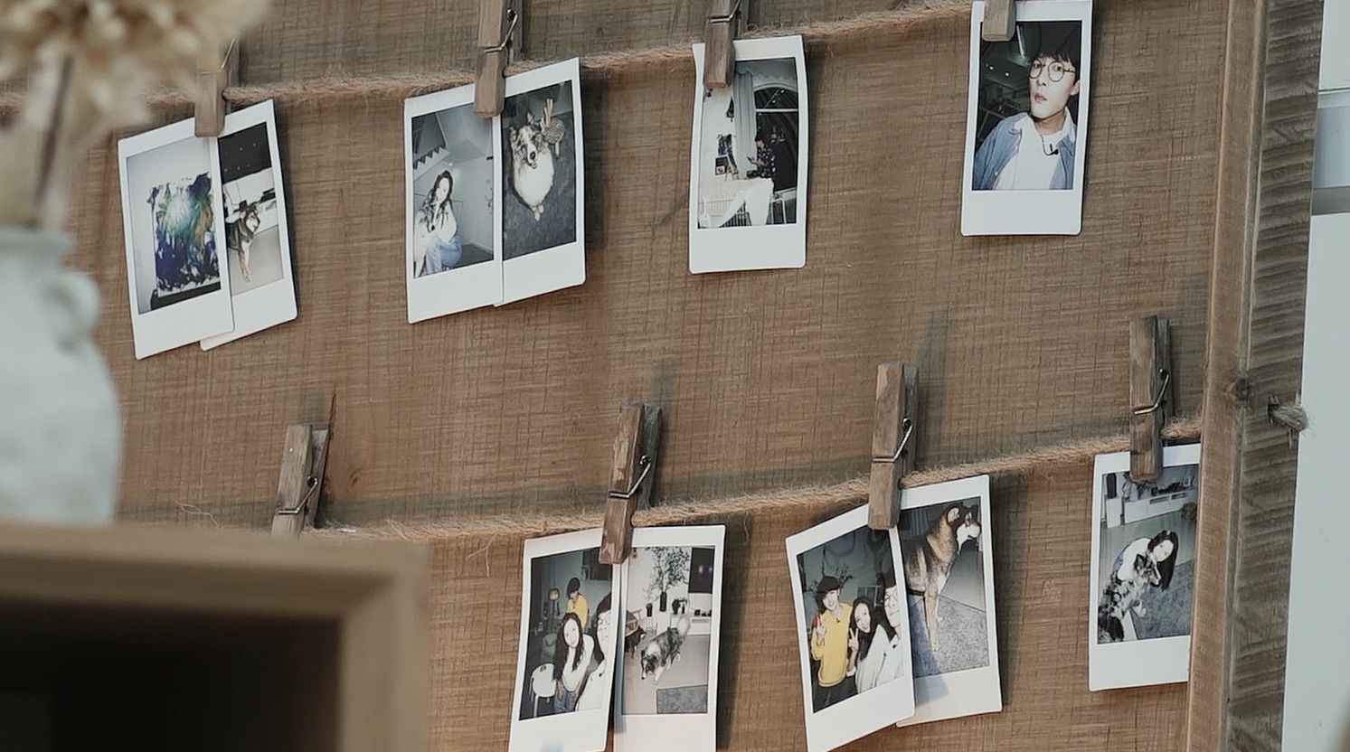 《汪喵物语》温情收官 朱正廷张雨剑泪别鹌鹑一条