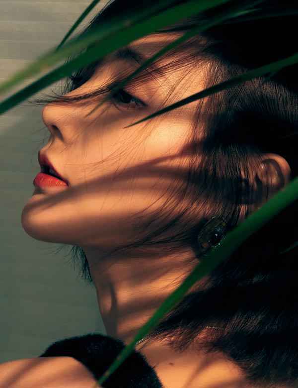 李一桐 | 丰收之前