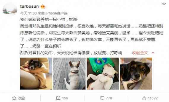 孙俪吐槽邓超“双标” 对家中两只萌犬区别对待