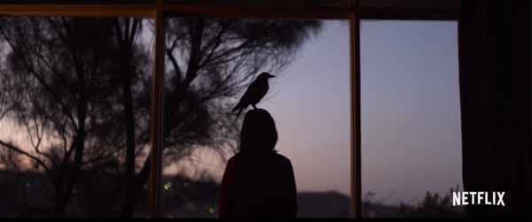 娜奥米沃茨新片《企鹅布鲁姆》曝预告 受伤的女人和小喜鹊互相依偎