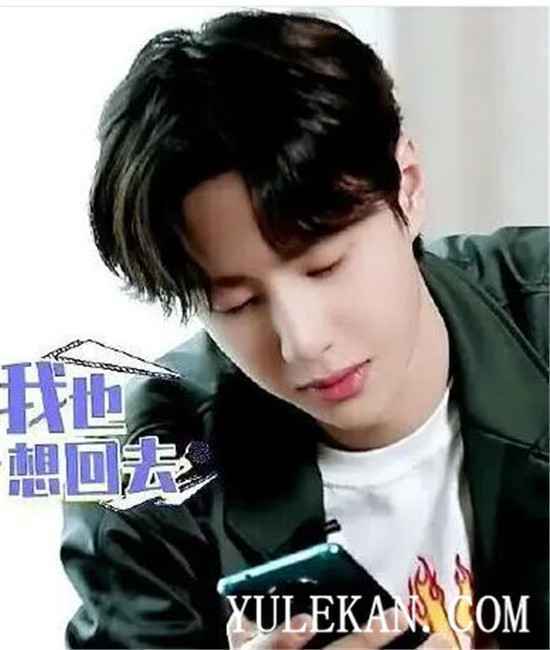 人气如此高的王一博为什么还愿意留在《天天向上》?