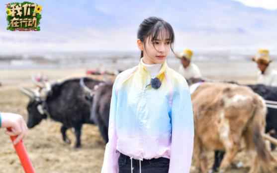 Angelababy晒小海绵视频花式催婚 小海绵竟把baby弟弟叫哥哥?