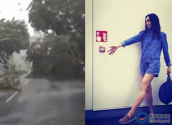 范玮琪台风天出门拍广告 晒路面险情好吓人