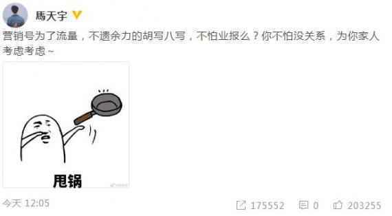 马天宇怼营销号