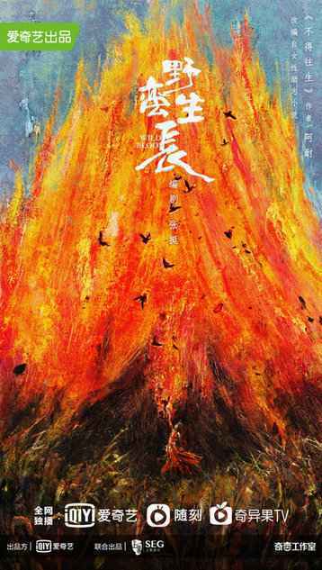 章子怡《上阳赋》热播， 上象娱乐精准布局