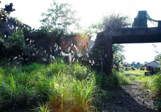 组图:《勇敢的世界》录制现场大曝光!这还原度太高了吧