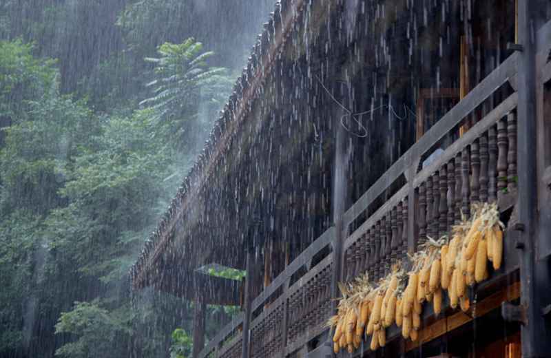 《向往的生活》官宣新地点，刘宪华不能参加，网友表示遗言