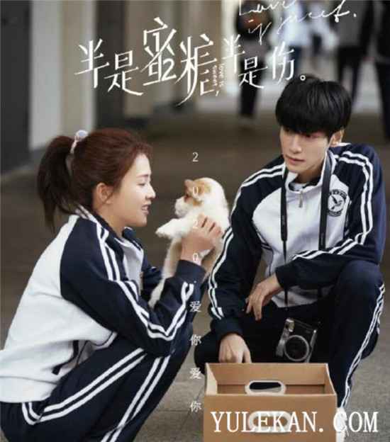 2020年未播先火的剧有哪些?哪一部你更期待?