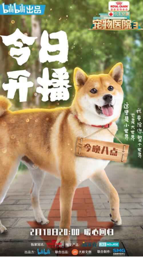 《小主安康宠物医院3》暖心开播,“宠物版人间世”感动回归