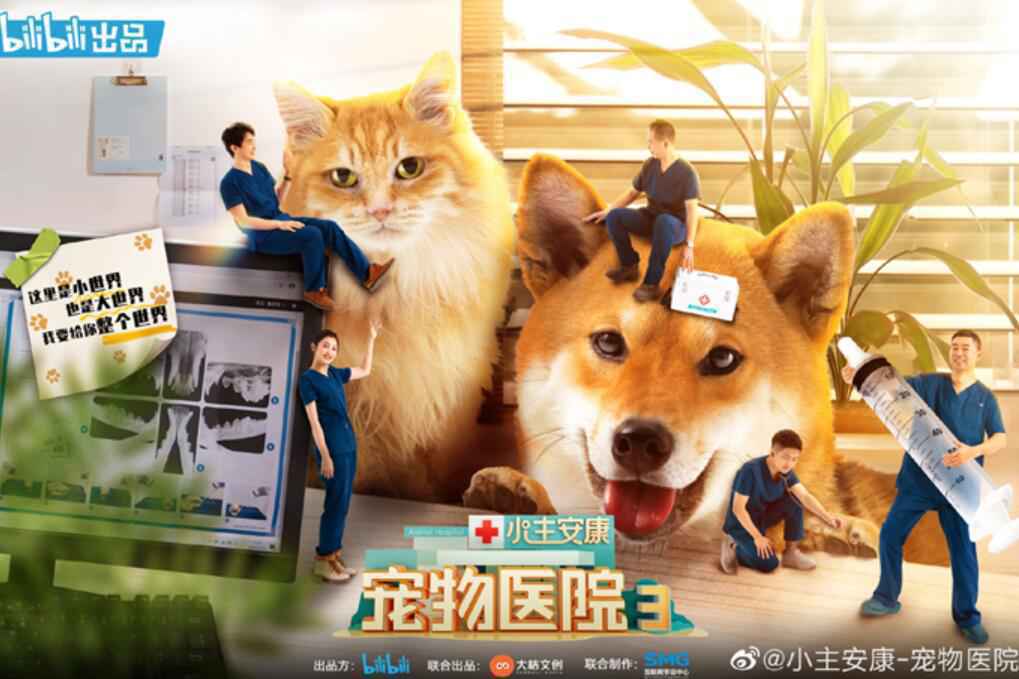 《小主安康宠物医院3》暖心开播,“宠物版人间世”感动回归