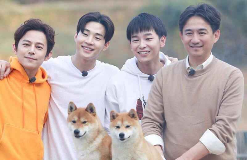 还记得《向往的生活》里的明星宠物吗？它们都怎么样了？