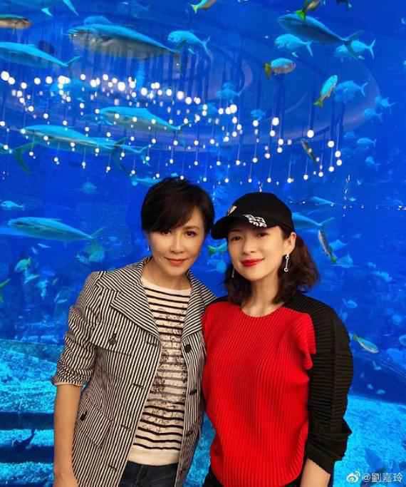 刘嘉玲章子怡合影