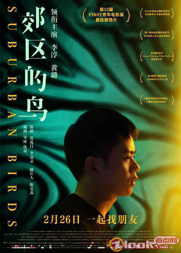 《郊区的鸟》曝单人海报 李淳黄璐演绎都市男女情感困境