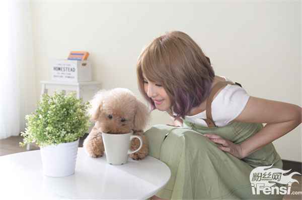 郭静新歌《拍档》成偶像剧主题曲