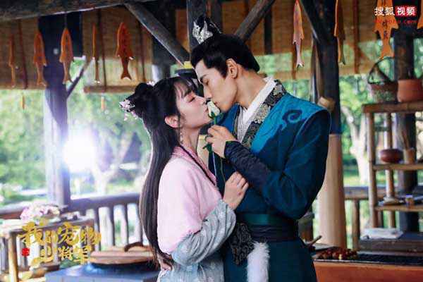 《我的宠物少将军》会员收官 “猫薄荷CP”甜中带虐留足悬念