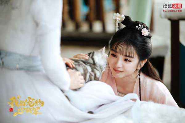 《我的宠物少将军》会员收官 “猫薄荷CP”甜中带虐留足悬念