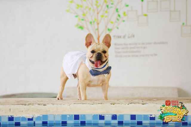 《神奇伙伴在哪里》预告：“神奇伙伴”工作初体验 “新职员”上任妙趣横生