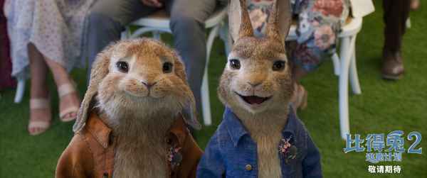 比得与本杰明 《比得兔2:逃跑计划》北美提档5月14日 兔头开启冒险奇遇