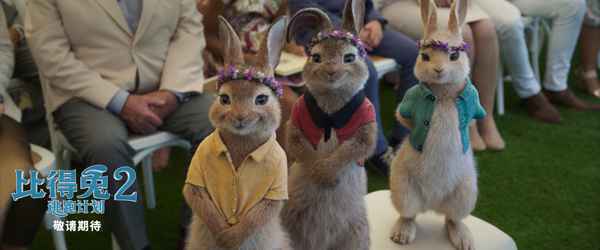 三只萌兔 《比得兔2:逃跑计划》北美提档5月14日 兔头开启冒险奇遇