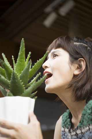 方文山霍尊搭档 《风语咒》主题曲MV曝光