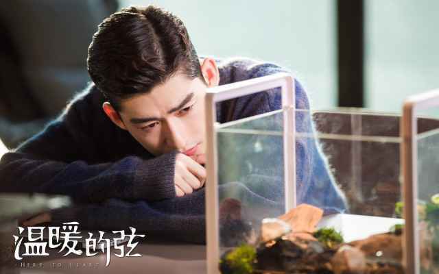 《温暖的弦》张钧甯周奇奇泪奔“和解”看哭观众 张翰带走张钧甯!