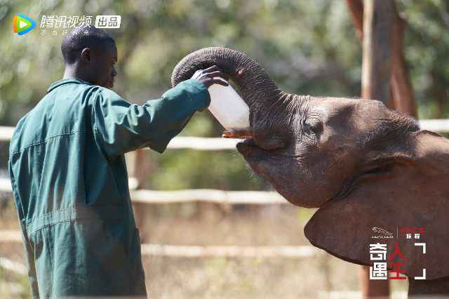 《奇遇人生》首播 纪录片X真人秀结合展现电影质感