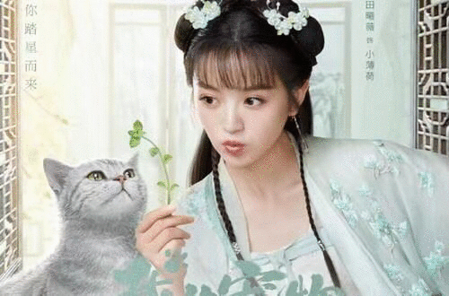 这部甜宠剧凭口碑大火，豆瓣高评7.6，短短16集全是精华