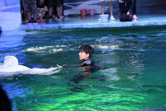 刘维发原创为王菊打Call 遭质疑霸气回怼