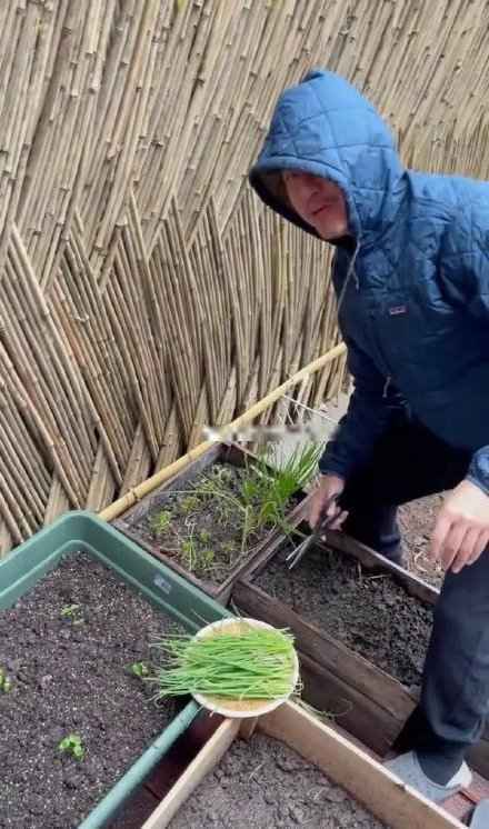 邓超晒早起冒雨拔葱视频