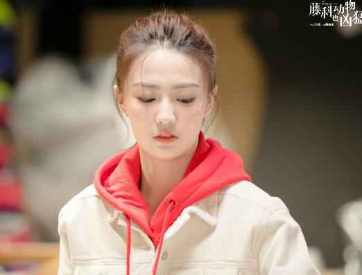 《藤科动物也凶猛》聚焦留学题材 徐璐李治廷诠释“凶猛”青春