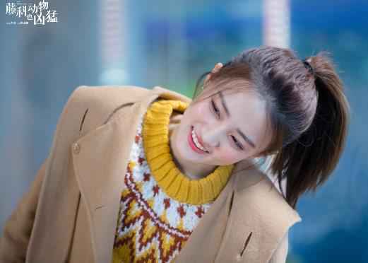 《藤科动物也凶猛》聚焦留学题材 徐璐李治廷诠释“凶猛”青春