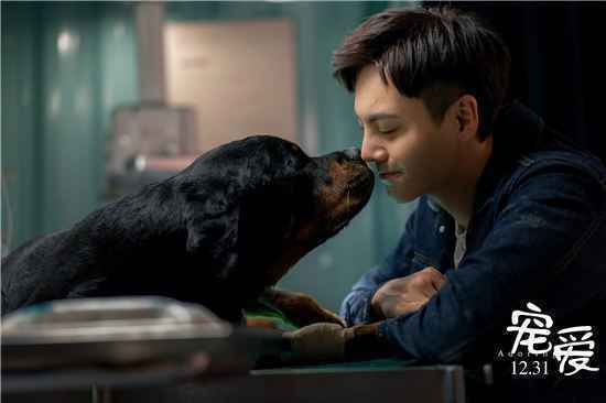 电影《宠爱》片尾曲是谁演唱的？