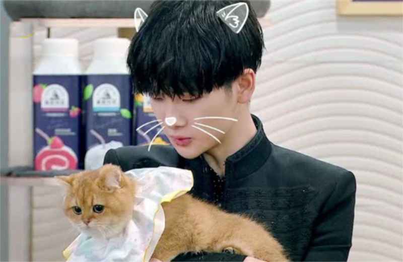 《巧手神探》三位大师得众人好评，周震南撸猫画面超温馨