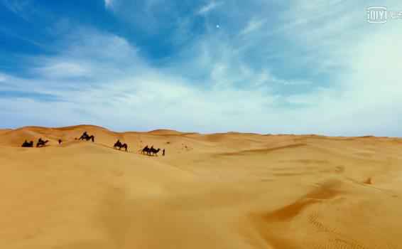 《黄金瞳》秦家野心暴露夺玉目 庄睿小队深入甘肃沙漠探佛窟