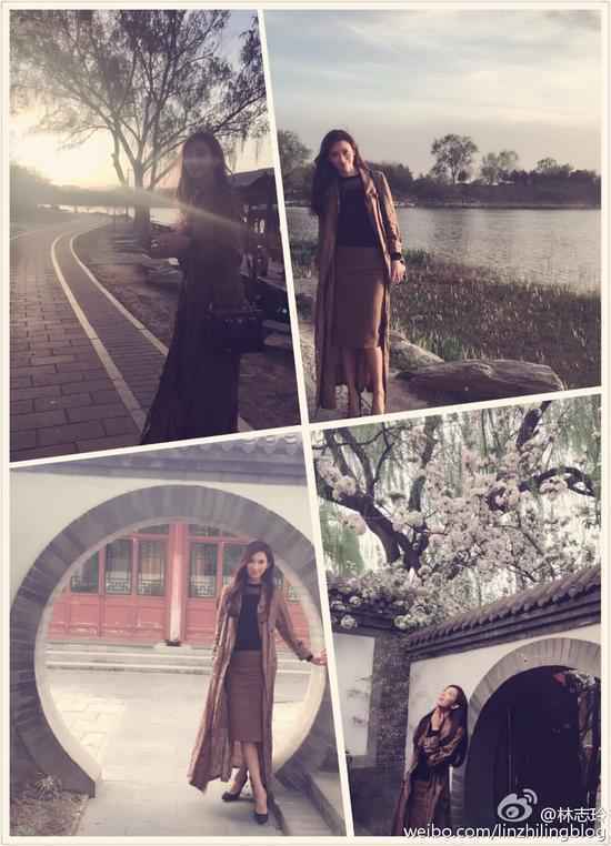 林志玲疯狂摇树花如雨下?删博澄清:道具