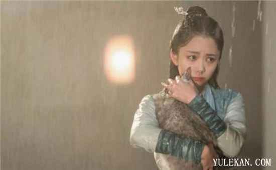 陆绎为什么迟迟不肯表白袁今夏?