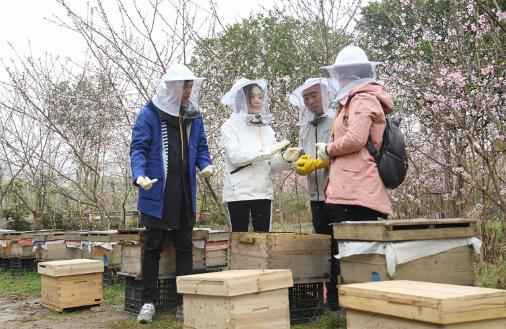 《我们在行动》贵州扶贫 邹市明冉莹颖“回乡寻根” 叶祖新挑战挖蜂巢