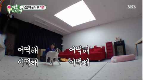 《我家的熊孩子》神童趁希澈不注意时 拆了他的电脑主机！