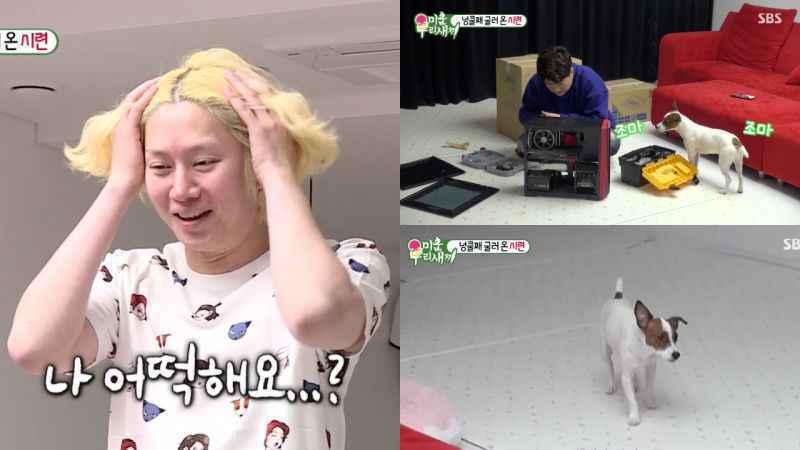 《我家的熊孩子》神童趁希澈不注意时 拆了他的电脑主机！