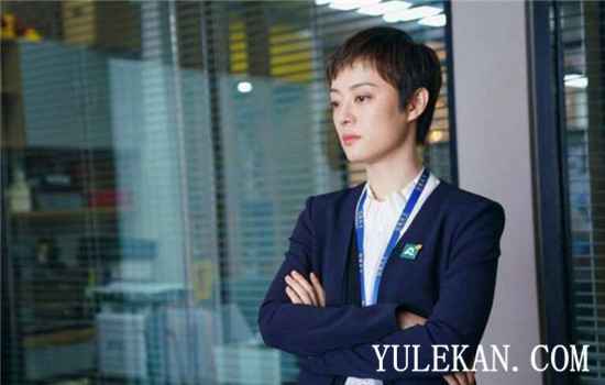 《安家》房似锦人生中除了亲妈还会有哪些麻烦?