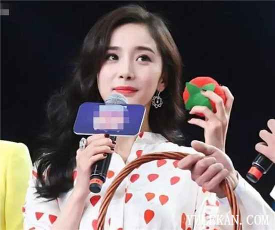 《向往的生活4》第三季嘉宾真的会全员回归吗？